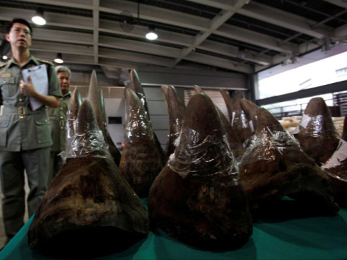 Seized rhino horn shipment