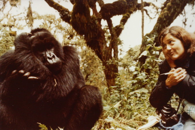 Dian Fossey and Digit
