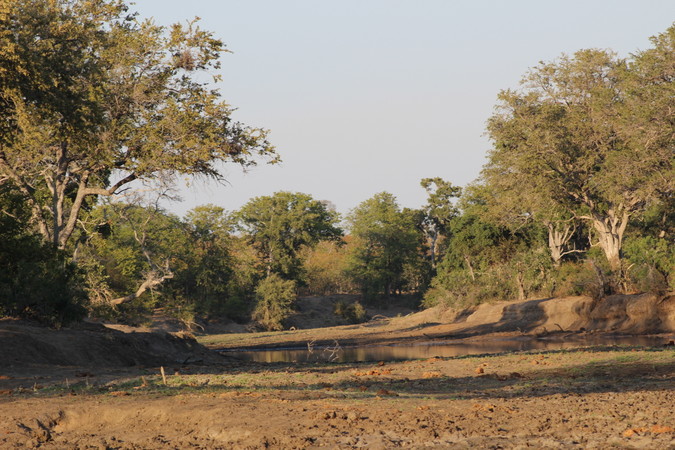 Kruger National Park landscape