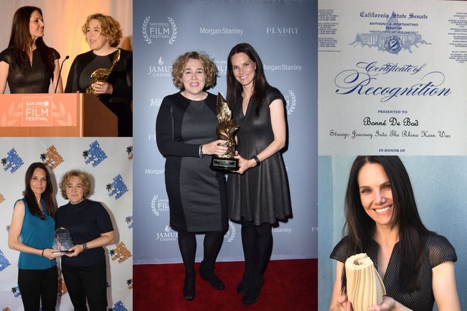 Collection of photos showing STROOP film producers receiving awards