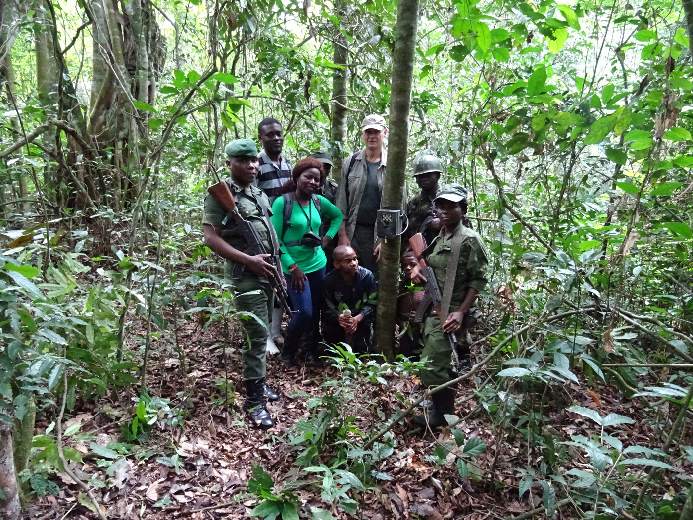 'Team Okapi' set up the initial phase of the camera trap study © Okapi Conservation Project