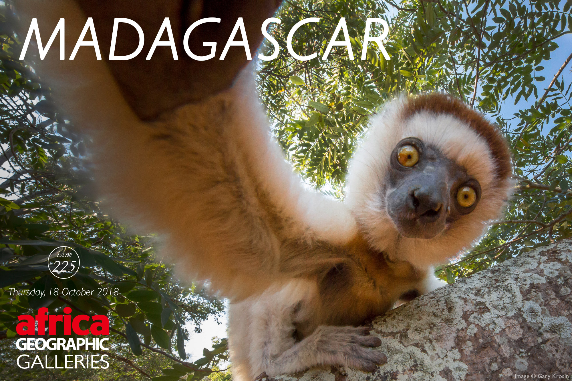 Madagascar - Africa Geographic