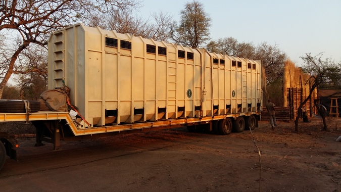 Giraffe transportation trucks