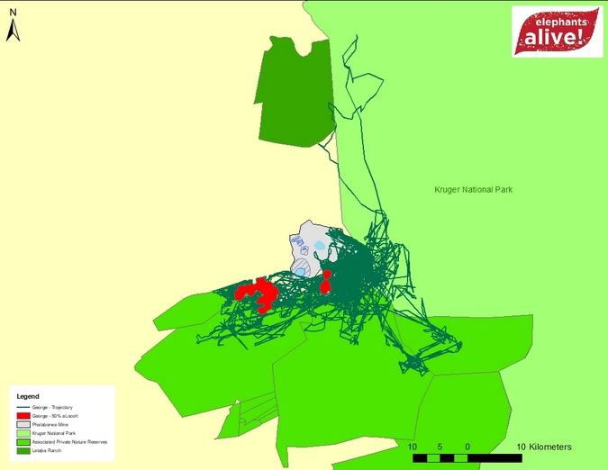 Heat map showing collared elephant's movements