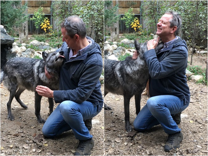 Nicholas Dyer with American wolf