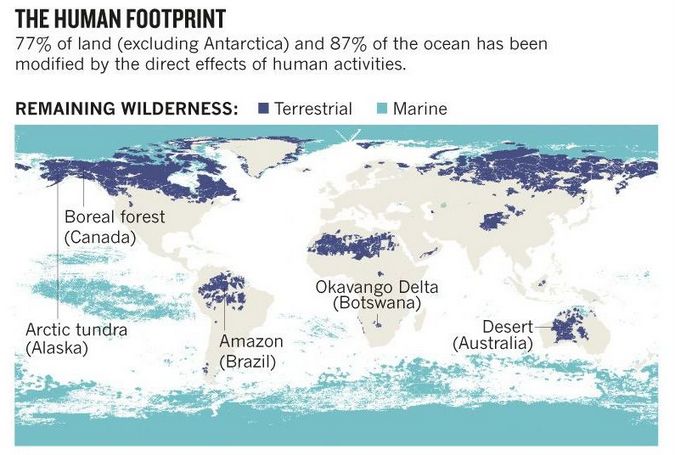 World map showing the remaining wilderness areas