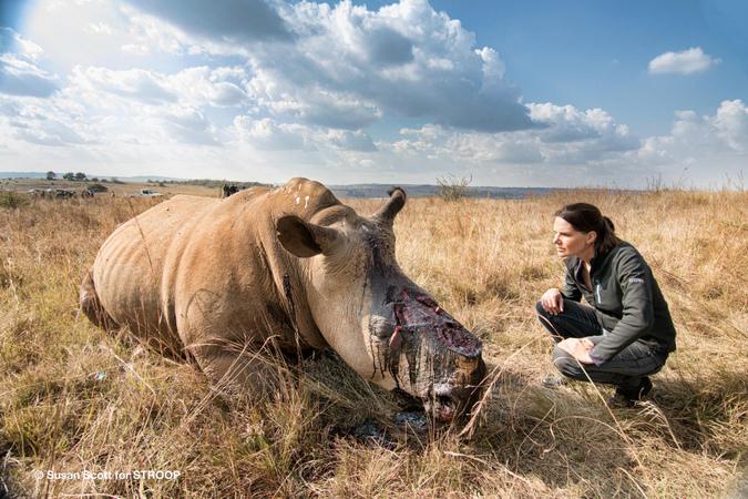 Rhino Rescue (Blu-Ray, 2009) National Geographic Beverly & Dereck Joubert  SEALED