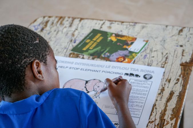 School child drawing in an elephant on a worksheet