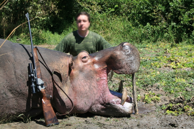 Hippo hunting, Photo for illustrative purposes only