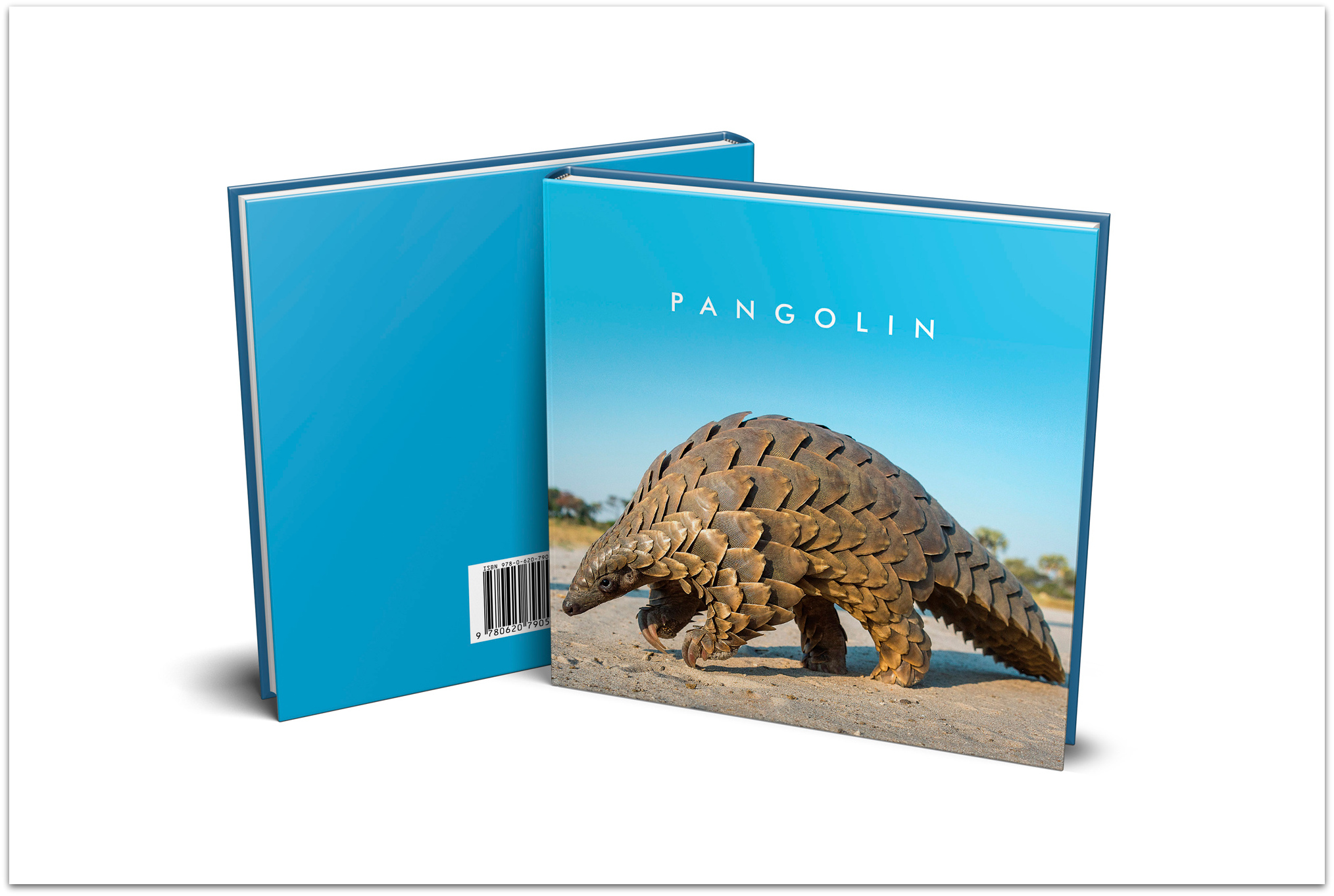 Pangolin by Laura Bryant