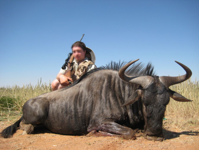 Wildebeest hunting, Photo for illustrative purposes only