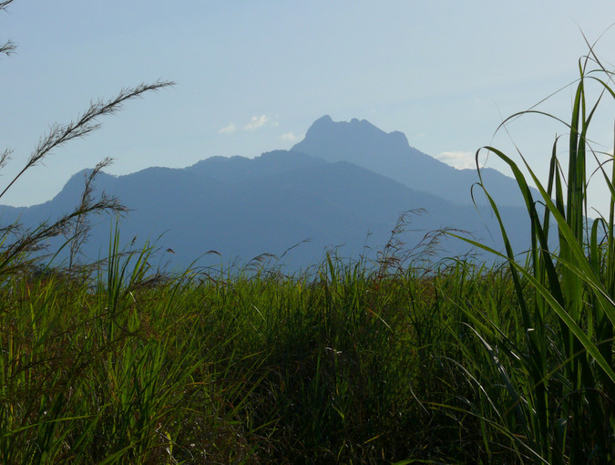 Mwanihana Peak from Magombera sugar plantation © Andrew Marshall