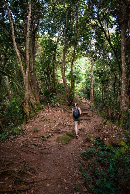 Trekking through the forests of Mahé in the Seychelles