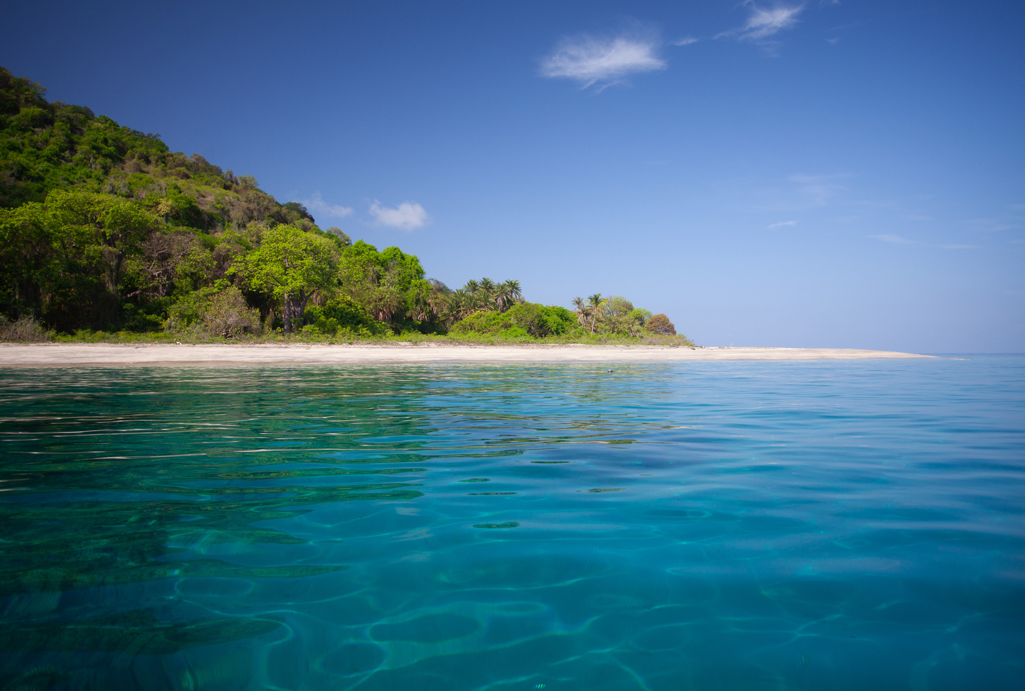 Mohéli has the Comoros' largest biodiversity, over land and under the sea