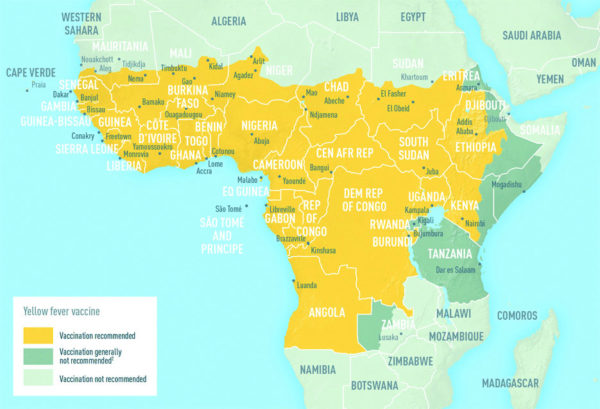 Understanding yellow fever - Africa Geographic