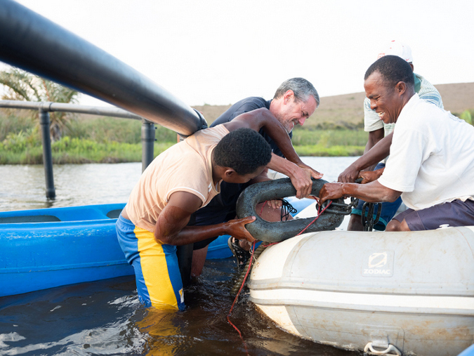 Setting up the aviaries on Lake Sophia