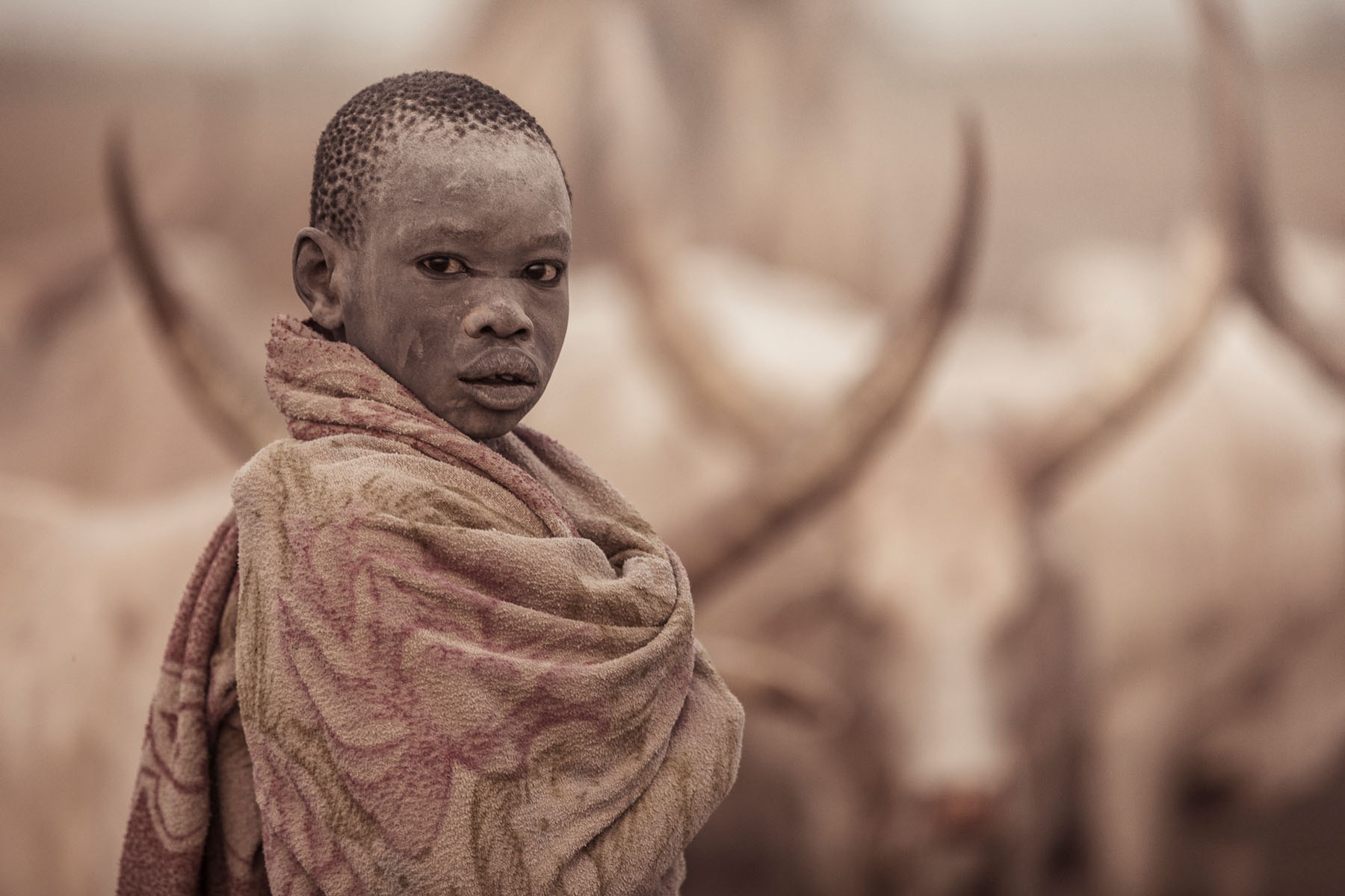 A Mundari boy covers himself with a blanket in the early morning while keeping watch over the cattle © Joe Buergi