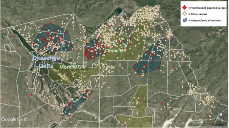Map 1. Elephant carcasses seen on the 2018 elephant survey relative to those confirmed or suspected of being poached in poaching hotspots.