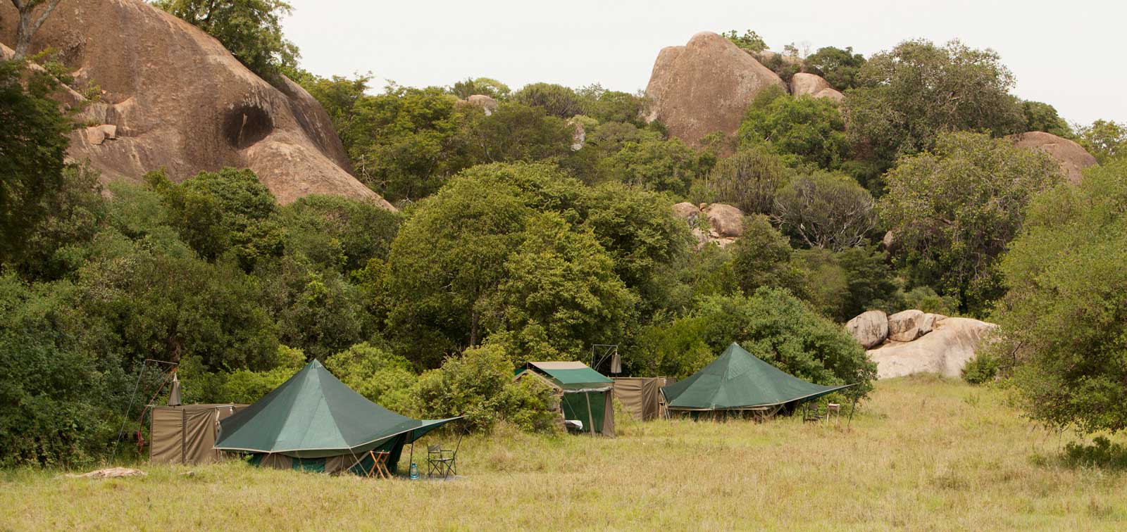 african safari serengeti