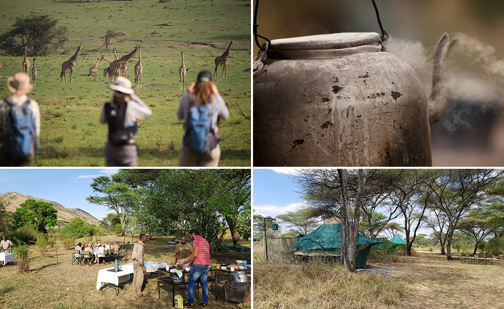 african safari serengeti