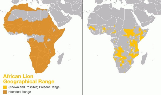 Map showing African lion geographical range