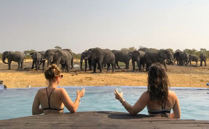 Two guests at pool with elephant herd in background