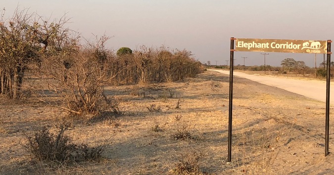 Elephant corridor sign