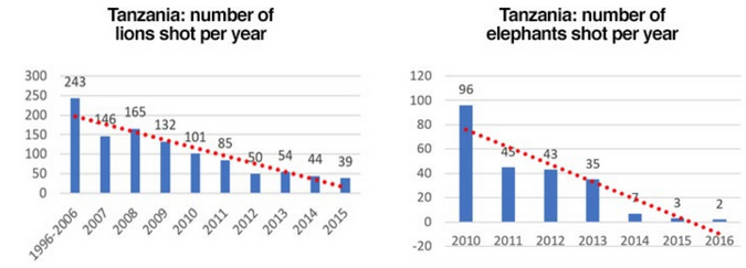 Graph showing number of lions and elephants shot per year in Tanzania. hunting