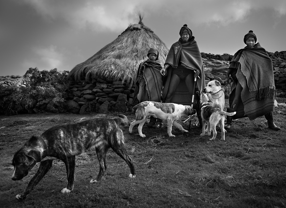 Shepherds and their dogs just before heading out to collect their cattle, Lesotho © Hesté de Beer