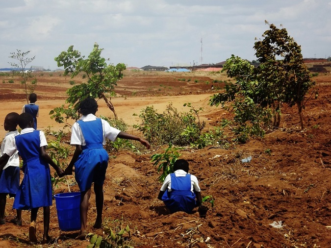 School children planting trees in Malawi