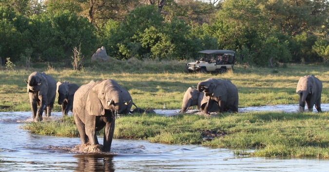 OKAVANGO DELTA ELEPHANTS-001 - Africa Geographic