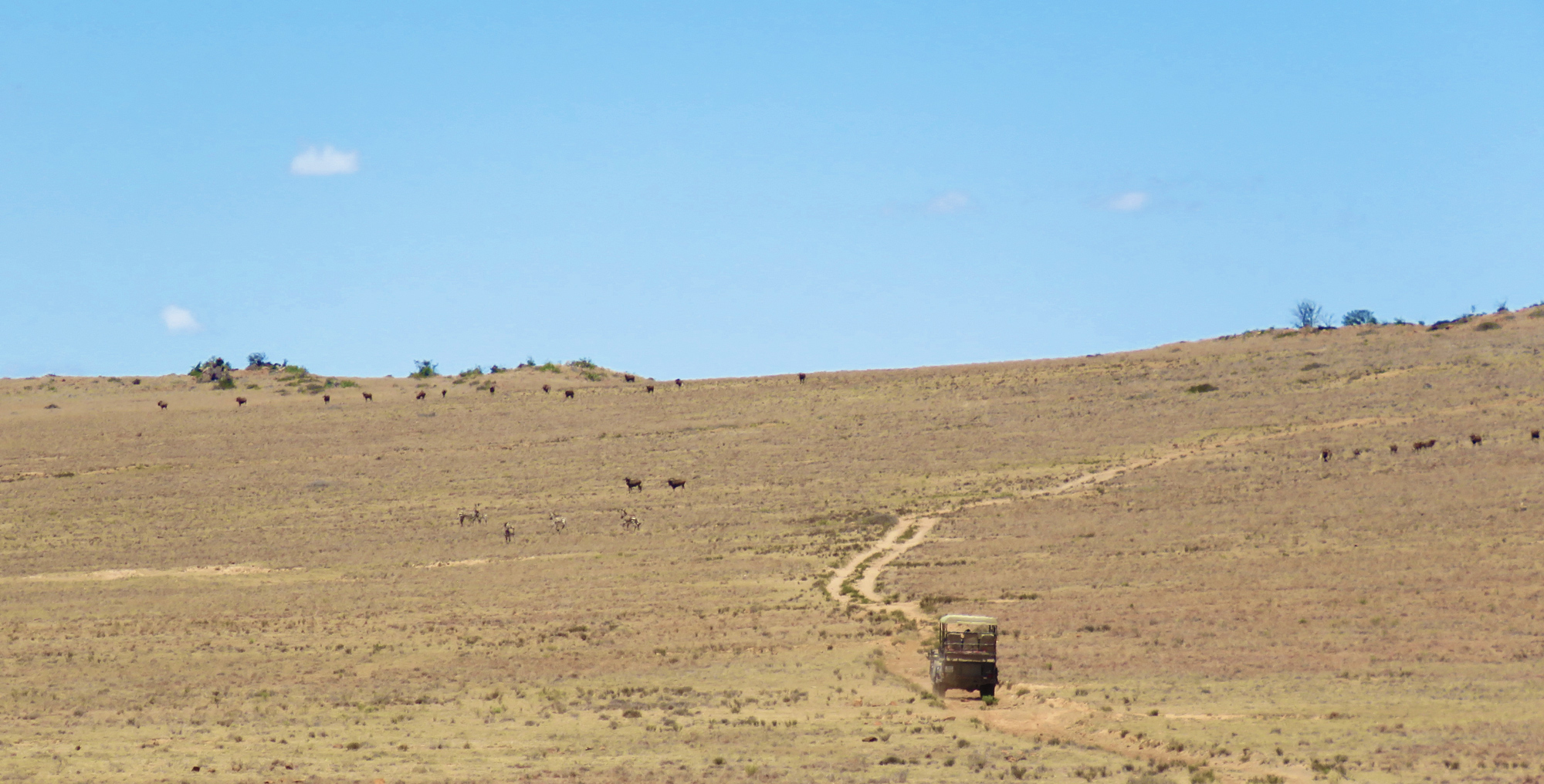 Samara's 'Samara Mara' with 360 degree views of the Great Karoo landscape