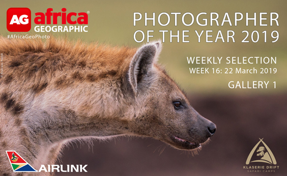 Photographer of the Year 2019 Weekly Selection Gallery 1