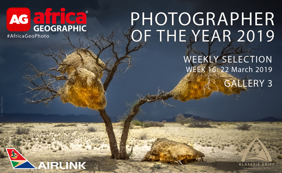 Photographer of the Year 2019 Weekly Selection Gallery 3