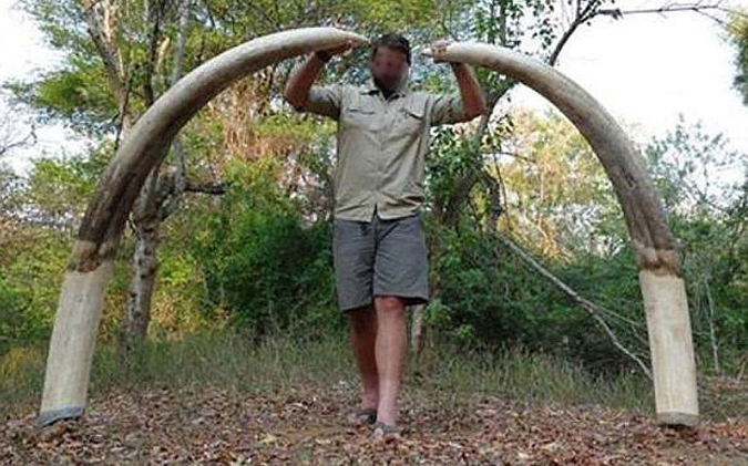 Big game hunter with his ivory trophies. hunting