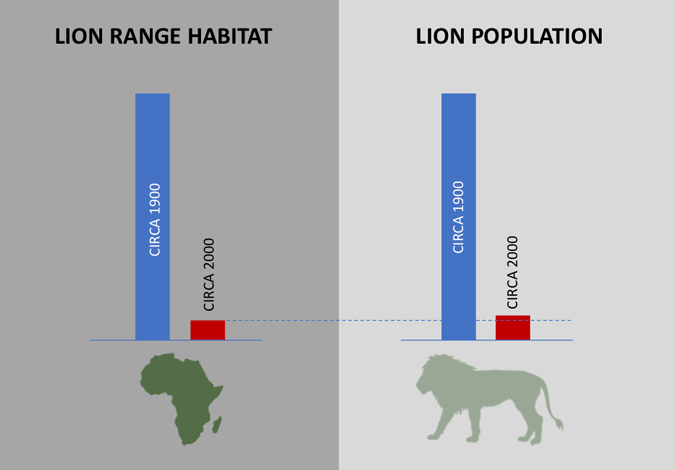 Graph showing lion range and population 