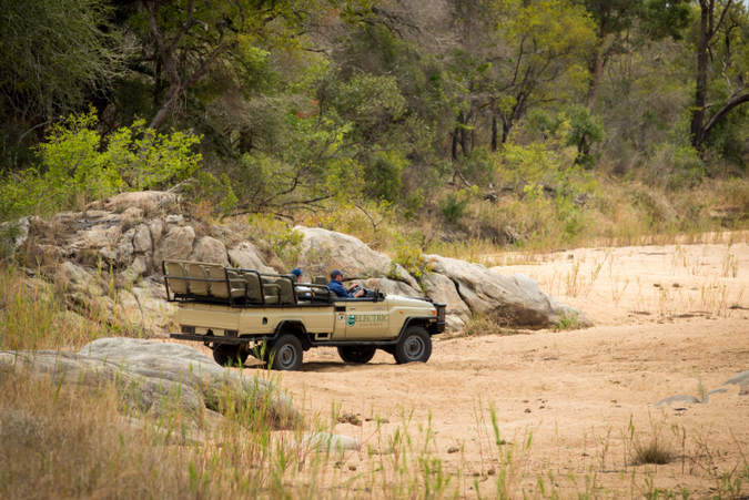 Electric game drive vehicle