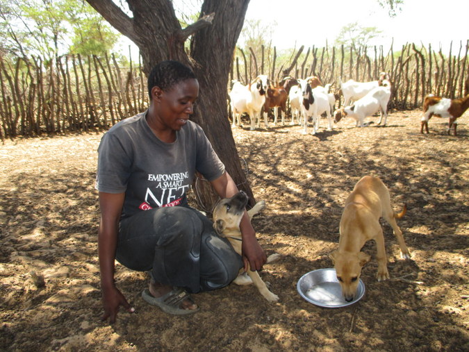 Farmer with livestock puppy