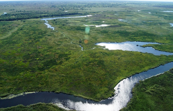 Aerial view over the Okavango Delta