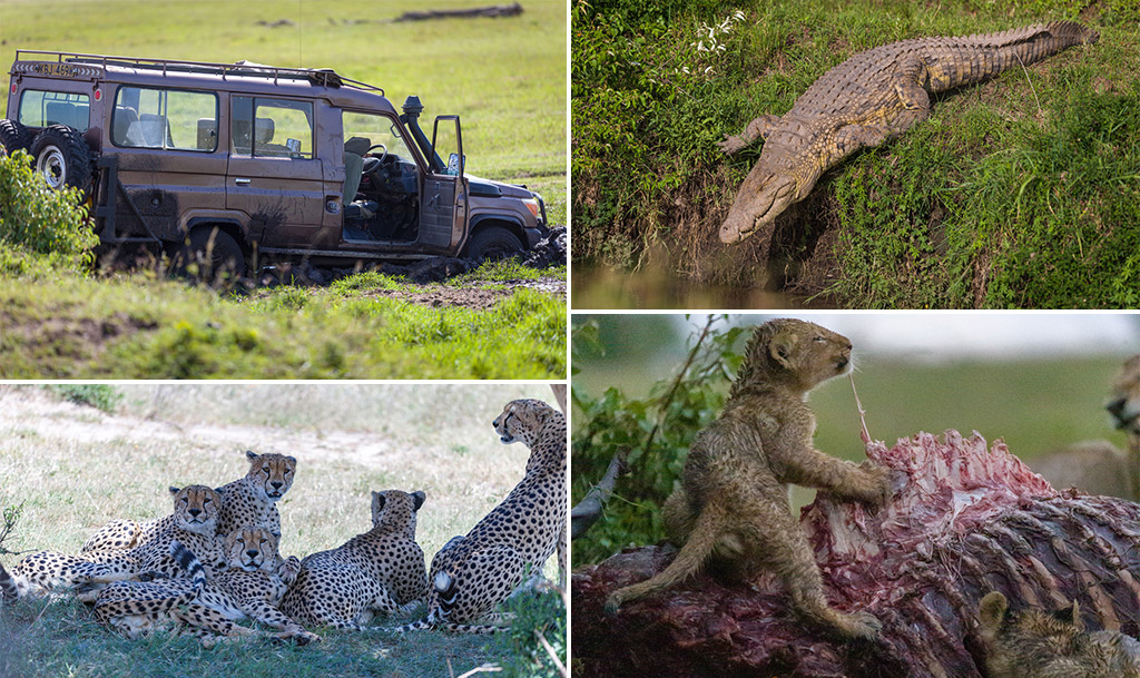 Maasai Mara