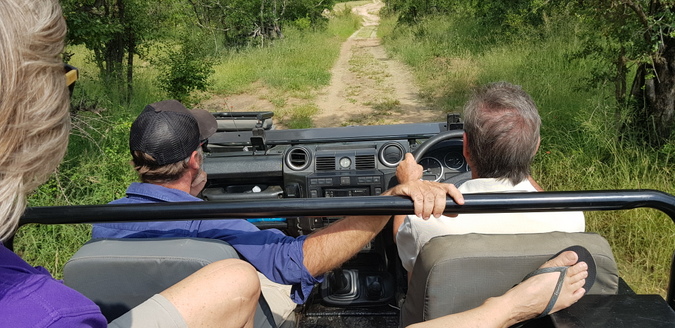 Guests on a game drive in an electric game drive vehicle