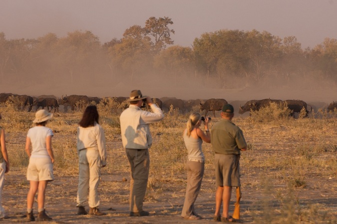 Walking trail in Selinda