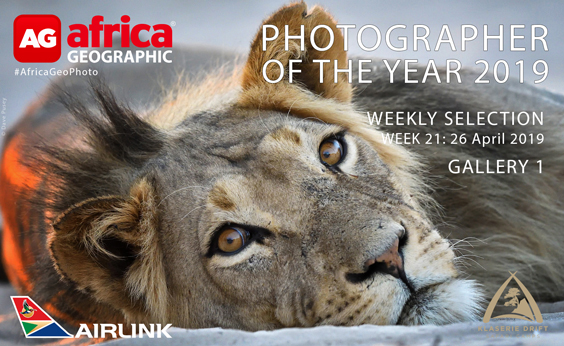 Photographer of the Year 2019 Weekly Selection Gallery 1