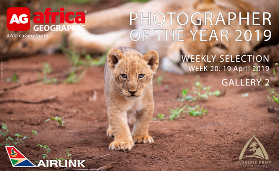 Photographer of the Year 2019 Weekly Selection Gallery 2