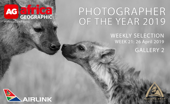 Photographer of the Year 2019 Weekly Selection Gallery 2