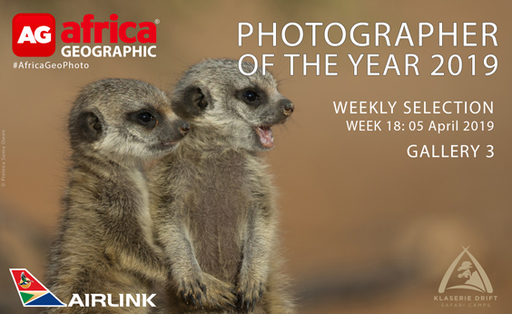 Photographer of the Year 2019 Weekly Selection