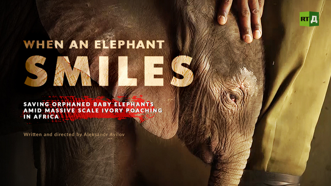 Watch the wildlife documentary: When an Elephant Smiles - Africa Geographic