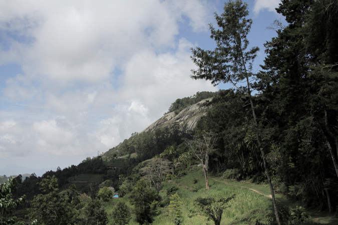 Ngangao Rock, Taita Hills forest in Kenya