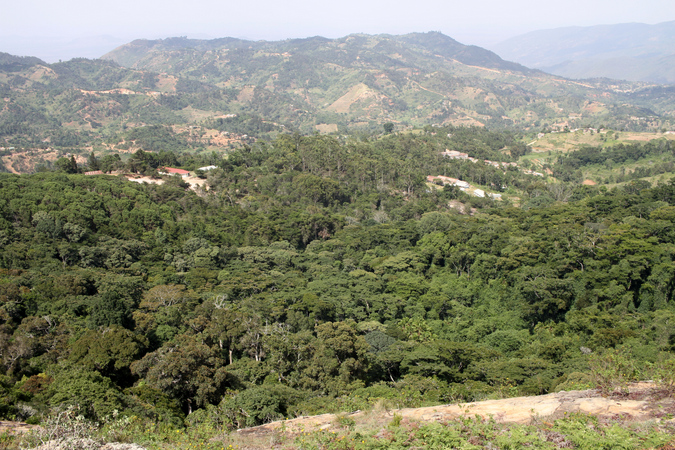 Ngangao Forest, Taita Hills, Kenya