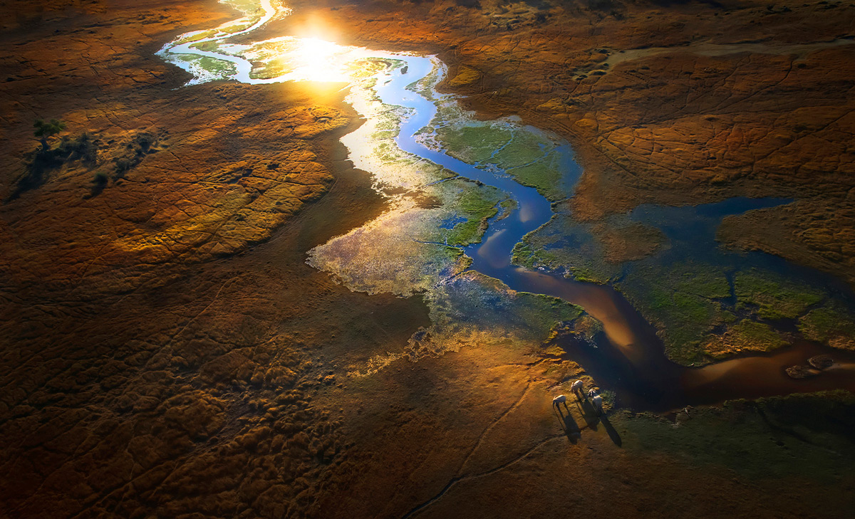 Sunset illuminates elephants as they roam the Okavango Delta, Botswana © Panos Laskarakis